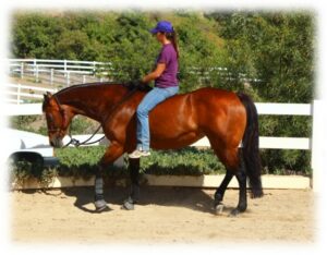 Melissa crusing around the arena with her horse Lacey